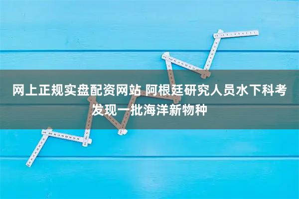 网上正规实盘配资网站 阿根廷研究人员水下科考发现一批海洋新物种