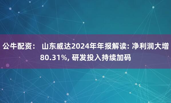 公牛配资： 山东威达2024年年报解读: 净利润大增80.31%, 研发投入持续加码
