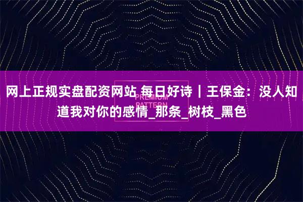 网上正规实盘配资网站 每日好诗｜王保金：没人知道我对你的感情_那条_树枝_黑色